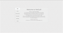 Desktop Screenshot of netgull.com